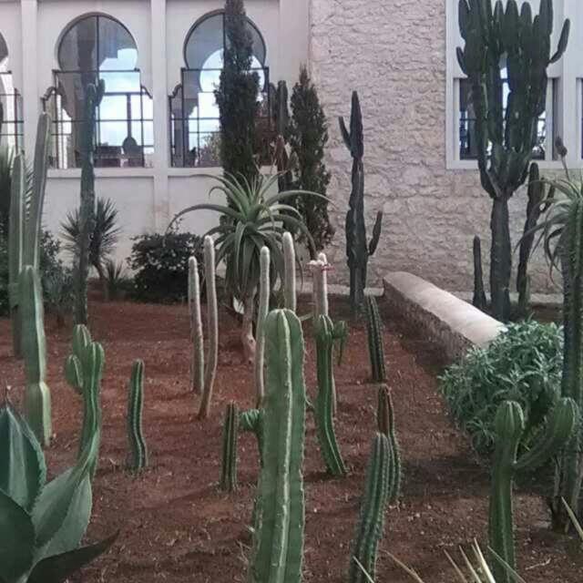 Les Jardins De Mogador Yoga Et Spa Эс-Сувейра Экстерьер фото